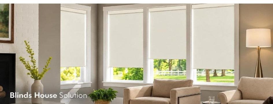 Blackout roller shades - living room